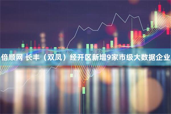 倍顺网 长丰（双凤）经开区新增9家市级大数据企业
