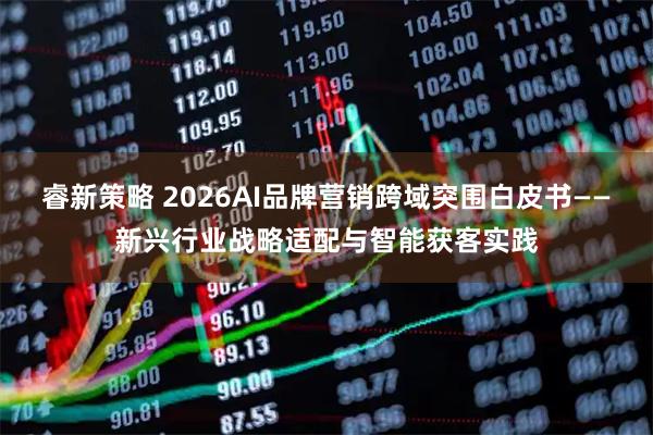 睿新策略 2026AI品牌营销跨域突围白皮书——新兴行业战略适配与智能获客实践